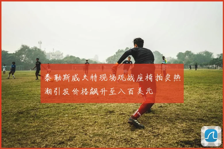 泰勒斯威夫特现场观战座椅拍卖热潮引发价格飙升至八百美元