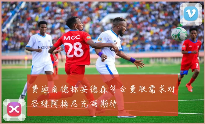 费迪南德称安德森符合曼联需求对签琼阿梅尼充满期待