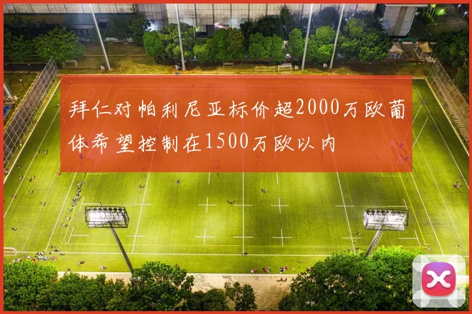 拜仁对帕利尼亚标价超2000万欧葡体希望控制在1500万欧以内