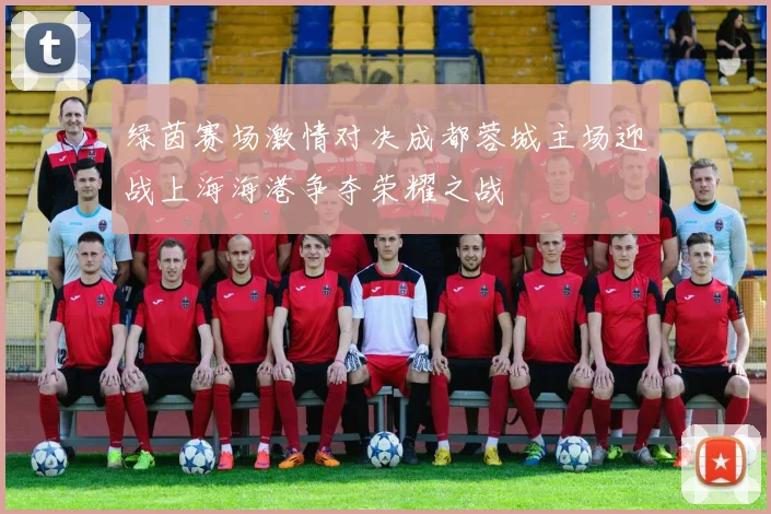 绿茵赛场激情对决成都蓉城主场迎战上海海港争夺荣耀之战